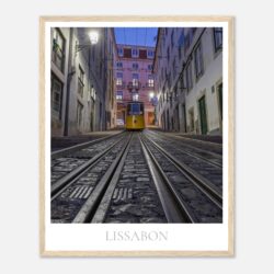 8108d274-4530-46b0-8597-aeaeb0274c01