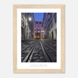 8202728f-81d1-4847-abf7-6cf584fcc8cb