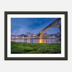 821f321c-723c-4ec3-8532-274fd178bac3