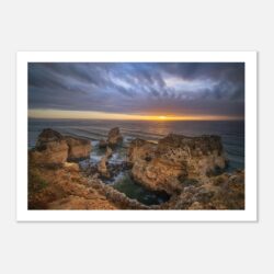 8360cd3d-4ba0-4907-ba7f-9d7a10fd9909