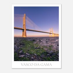 8566a819-507d-417b-9439-8f897a0e1eeb