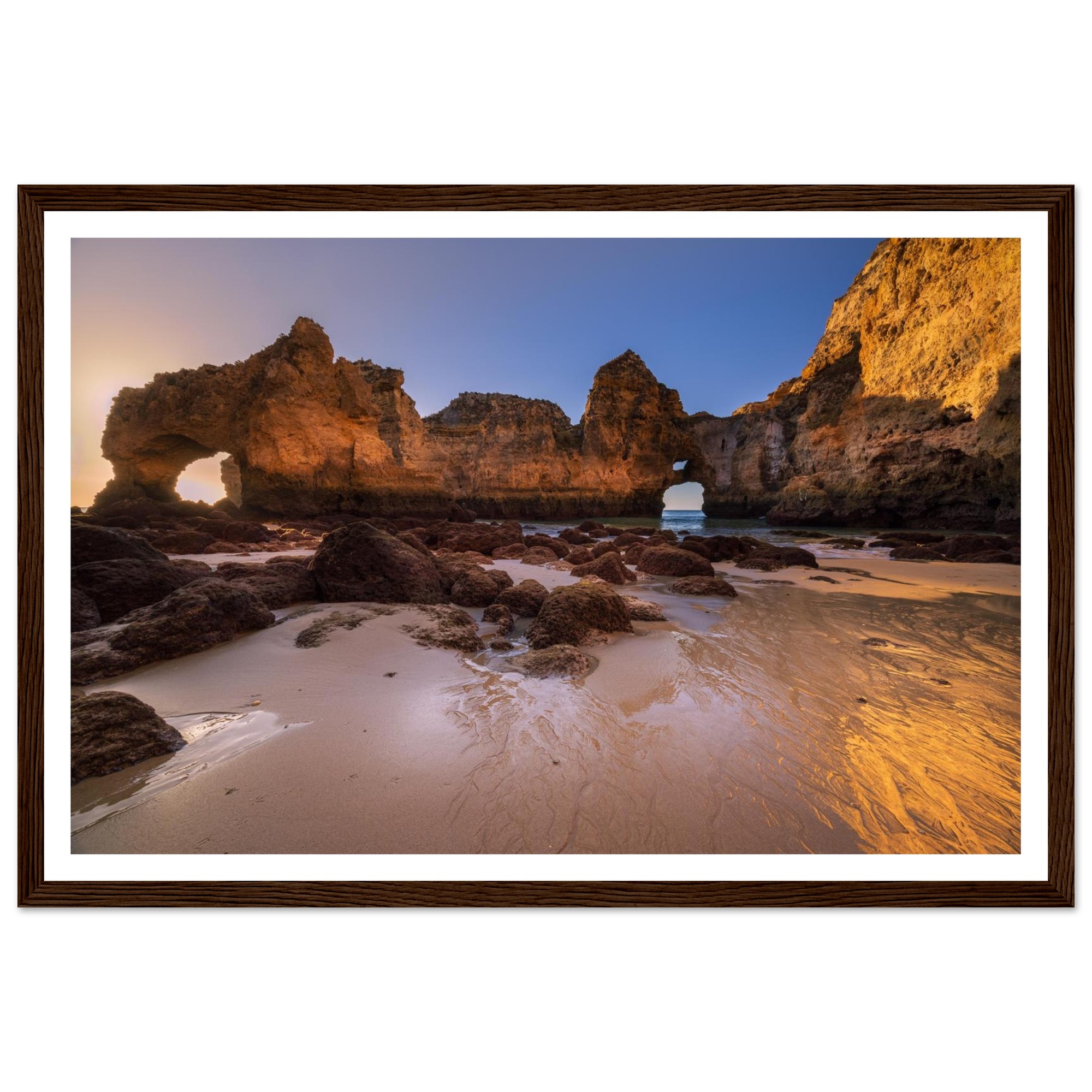 85929c1a-4a23-4925-aab0-424fbd1ba50d