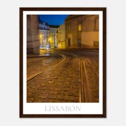 859f4c71-8f36-4d2c-8913-9f054d72715a