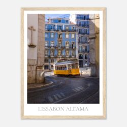 86342306-81f7-432d-ad47-422d175a486c