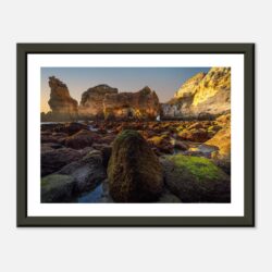 865cefe6-93cf-44f8-84e9-ad594c0f7df8