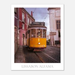 87061dbc-4ba1-4b4e-b48b-111b4b2fcf3a