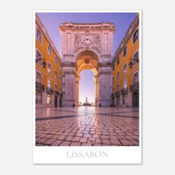 874870f9-b803-4f46-b4a9-6f02666a438c