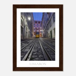 88d54f95-5d4a-4184-8b8f-49a5a23ff15f