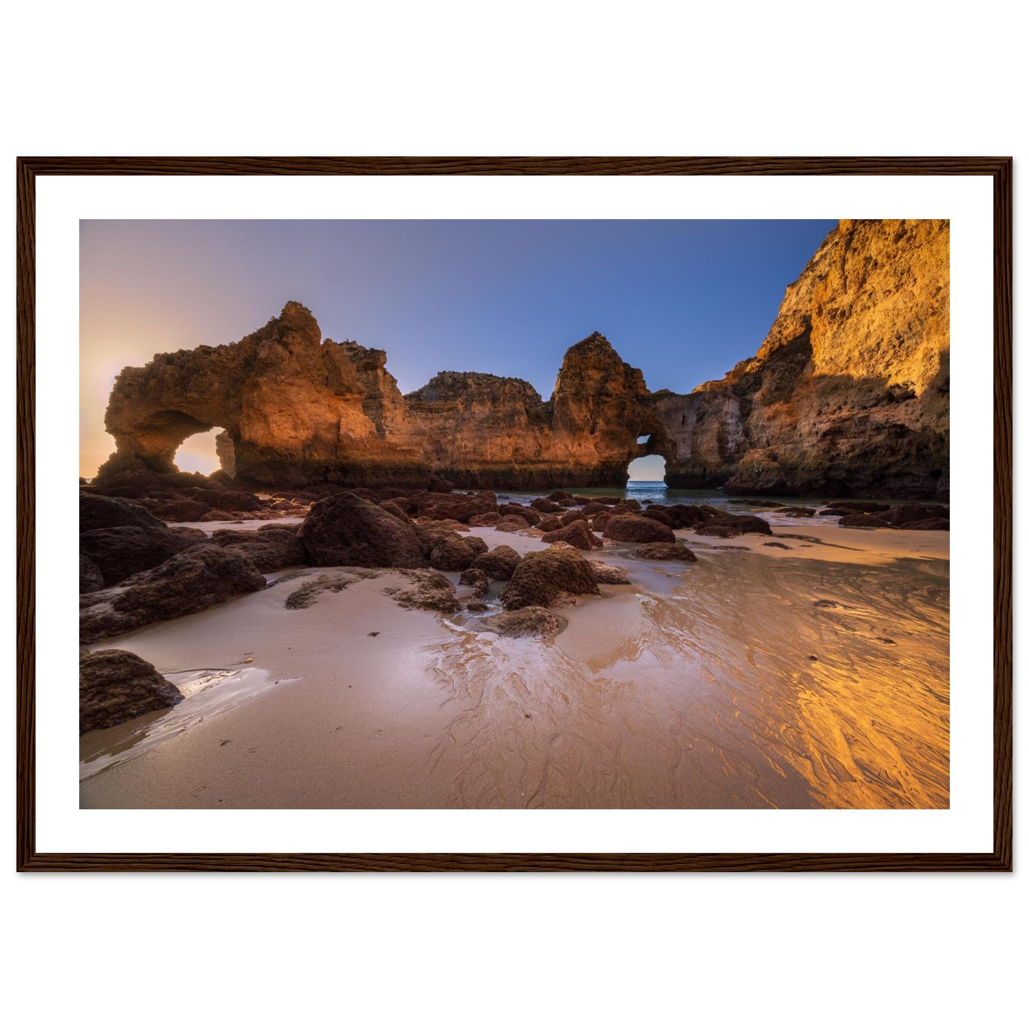 8a495542-0ca9-437a-b29d-2d4e1a53931f