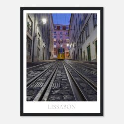 8a5e2e6d-93c3-44d8-ac22-37f6591dff9f