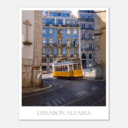 8bc83eab-aed3-4239-8308-b596ea619c3e