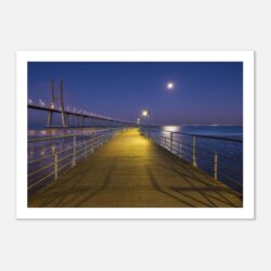 8bd79a97-bc6c-4ded-8425-ae7e6c3080a6