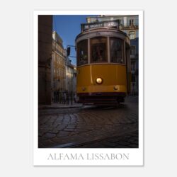 8bea3140-f932-4d71-bade-20e6e1dadd7e