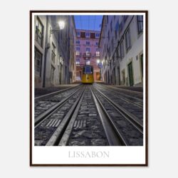 8bfbc9c5-60d5-4176-b0aa-58453c5dabe4