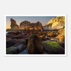 8c65fd56-cb69-4630-a39f-0d6f6c30d8be