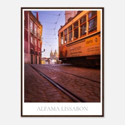 8cc2a09c-2465-437b-8376-e41adb6a3eb7