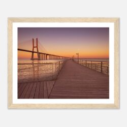 8d547f51-2d9e-4dba-8c11-b596f7de0008