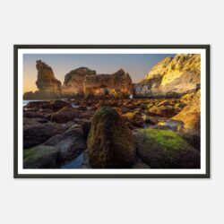 8d780b53-9be6-42f0-9120-5cd016730691