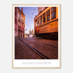 8e00ff02-5392-4317-be33-48adc5ce38a8