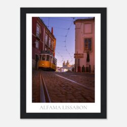 8e8aa726-f4b1-45f4-bbe0-9359a1b37805