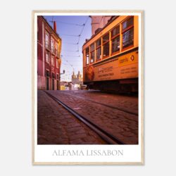 8f958f22-1d6a-4f8a-a657-9d252e343194