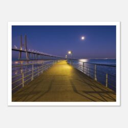 8fdc2e80-3b8d-4286-8ced-620dd02a98ed