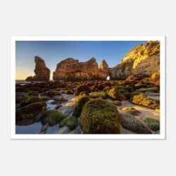 8ff608b4-cb78-4aa6-9599-89672f680ed3