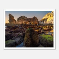 902da6bd-6850-4a3f-a35f-672bcaf75fd5