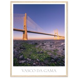 911dc88d-ef57-4cb3-bd84-cd23cc3f85dd