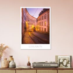 922b6400-1ea8-47fb-a8a4-2474656ce94e