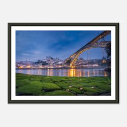 95da81c3-e971-437f-886c-0a15f7de547c