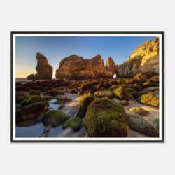 99b30441-de1d-4b53-8c2a-969bda64924d