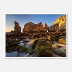 9a6f155e-765d-4b22-b28d-0ab3f75b2b76