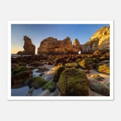 9a812857-f097-4228-80dd-f55ac6d60f24