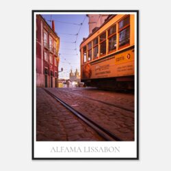 9bbdd897-8bd1-4893-89ca-22595f0ca242