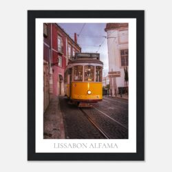 a2217c47-8375-45c8-9377-248198a13c22