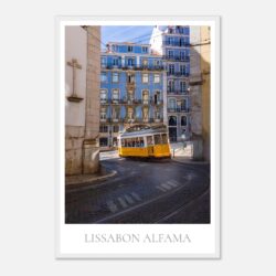 a22b8481-e24d-4434-9ef6-6a40b473e64b