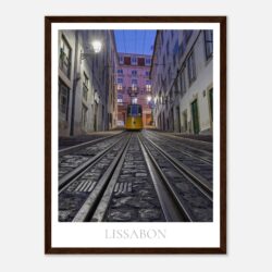 a278a83b-da2a-45ec-b2ee-7403da03649f