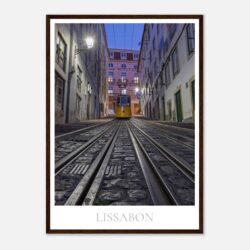 a286dab3-aca4-46e2-b7b2-ceea505275e6