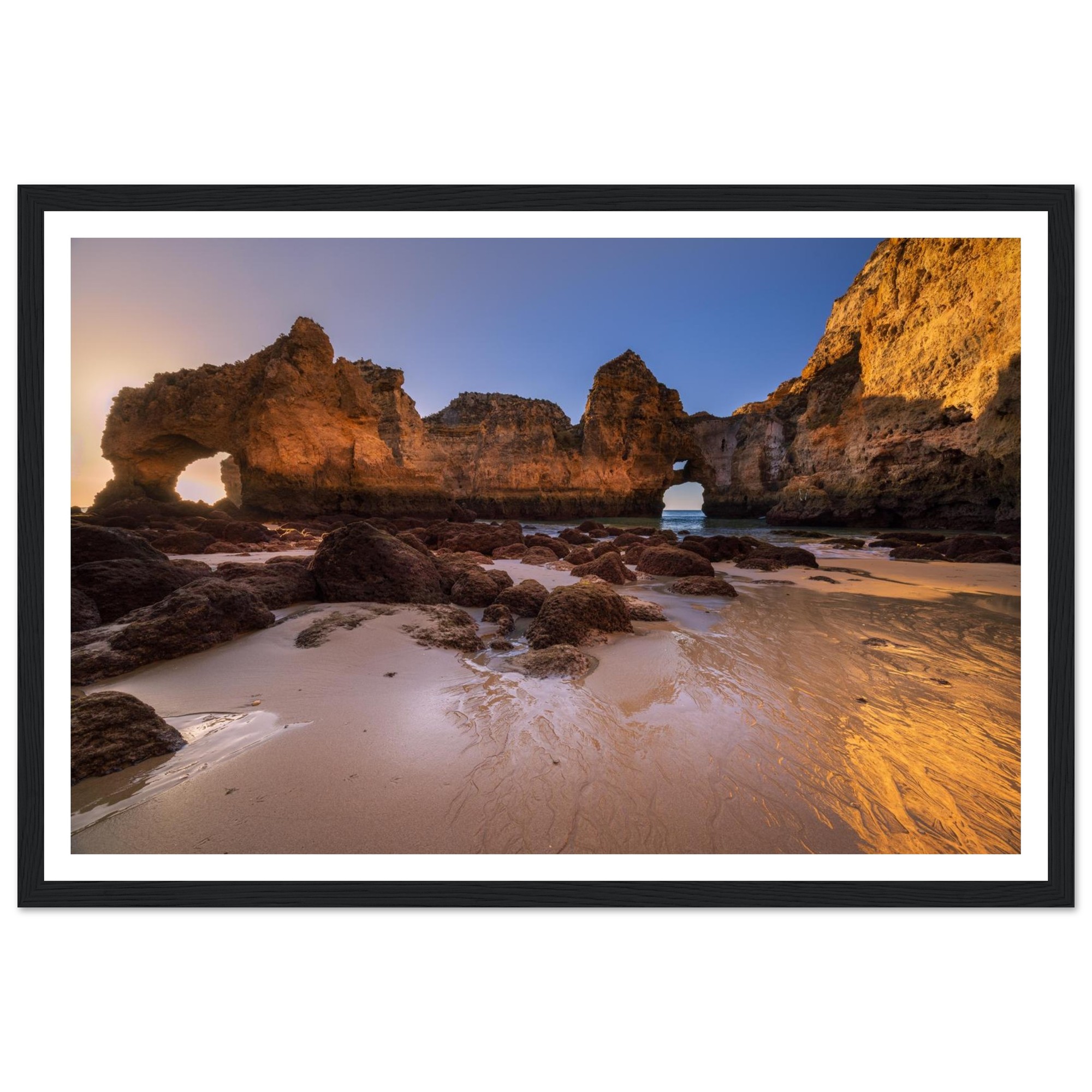 a33b6ccc-9eea-4547-9453-5fc4c445d005