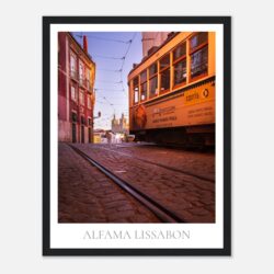 a5063a01-82e5-4db6-a3f8-cd7ef88bd18d