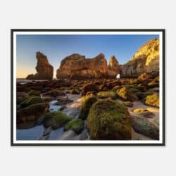 a57a4c6d-856d-4b08-a089-6e54d22b3dac