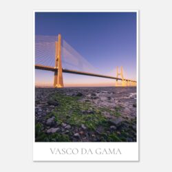 a5a2869a-618a-4baa-8b48-2b12cdeb0772