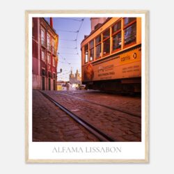 a6f406f5-5374-4d84-9bb0-e62b32b50654