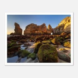 a72e0cd6-6e43-47f3-8328-763c091ad0d8