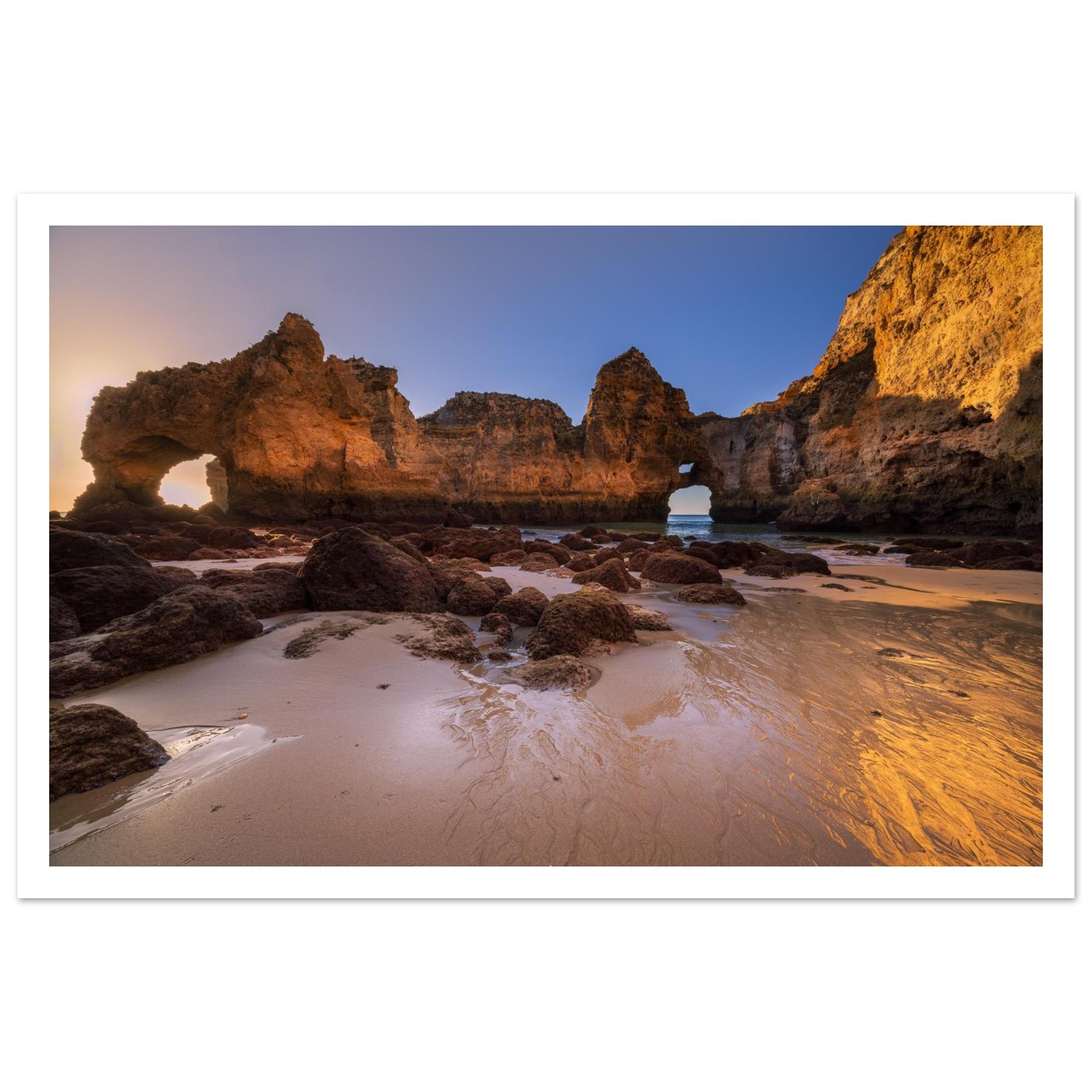 a8d5f7de-75d9-4fb7-adde-658c663ea333