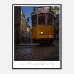 a932f20e-e85b-4576-8c2b-7e80d1474498