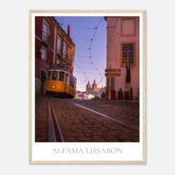 aa9dfc31-2ff9-438f-a567-40a8e1101c54