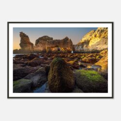 ad273f84-b9f8-4bae-8332-bc4b8d267e1b