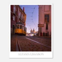 af45299d-ade6-4af1-b0b0-7736df87fc1f